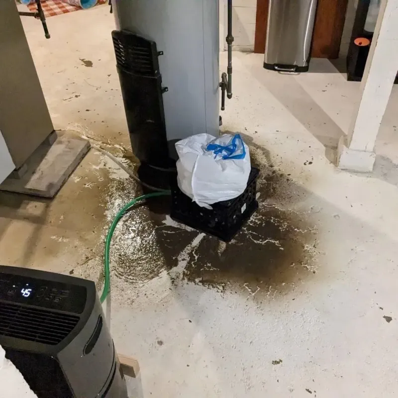 Sewage Backup Cleanup Service in Dumont, NJ